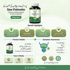 SAW PALMETTO DEAL OFFER