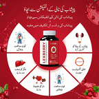 LEXBERRY – Cranberry Extract &amp; Vitamin C